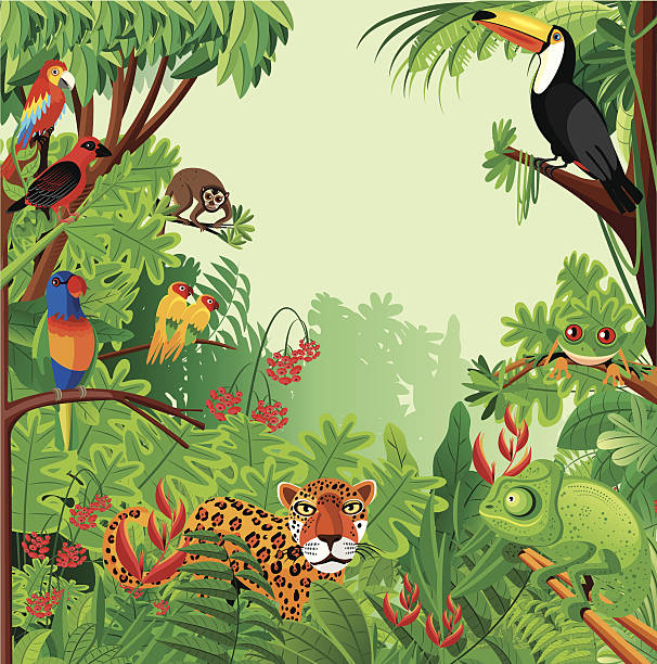 Amazing Animals of the Rainforest
