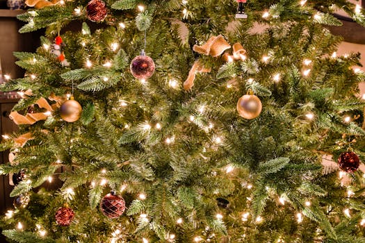 Evergreen Trees: The Secret Behind Christmas’s Most Magical Symbol!