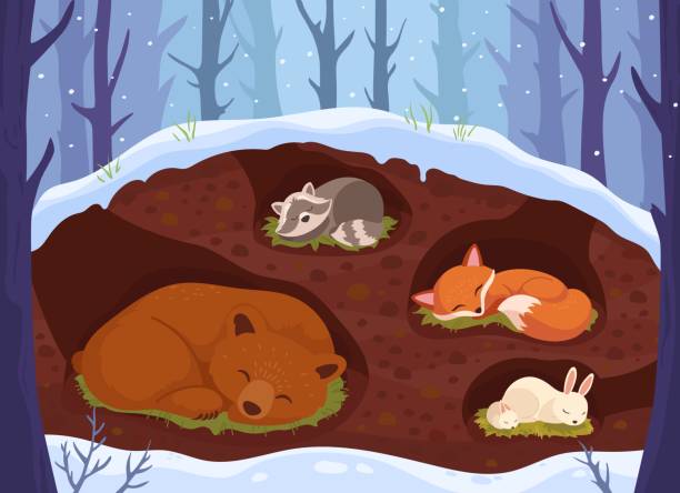 How Animals Prepare for Winter: Fun Facts About Hibernation, Migration, and Survival