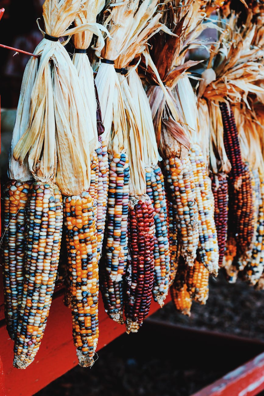 Thanksgiving Traditions Around the World: How Cultures Celebrate Gratitude
